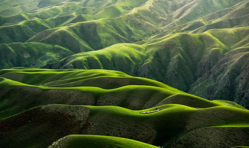 Pacific Coast Highway
